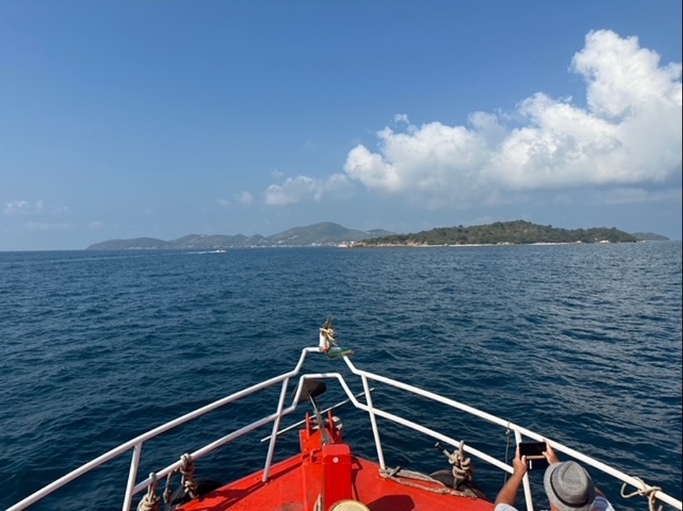 image1 (4)